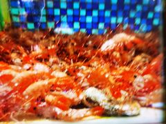 -欧记·龙城港(欣都店)