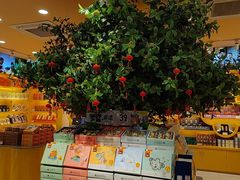 -金顺昌桂林桂花伴手礼(正阳一店)