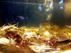 -海天盛宴新派海鲜自助餐厅(群力店)