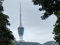 -梧桐山风景名胜区