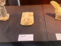 -安阳博物馆