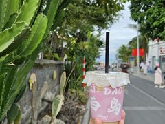 -三亚西岛海洋文化旅游区