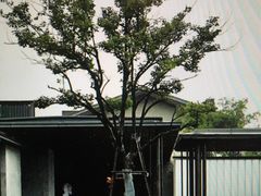 -木守西溪溪隐餐厅