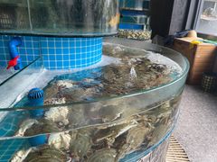 海底总动员-蓝珊甄选海鲜自助·火锅大排档(近阿那亚店)