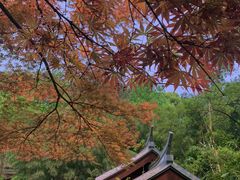-岳麓山风景名胜区