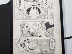-东京塔海贼王主题公园
