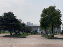 -日照世帆赛基地