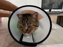 -荔康动物医院(康王北路店)