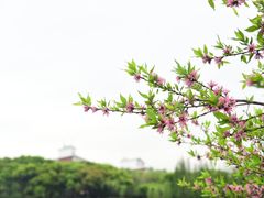 -圩墩遗址公园