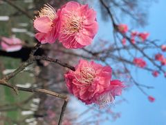 -七桥瓮公园