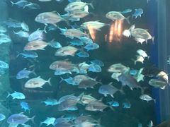 -成都浩海立方海洋公园