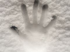 -吉野家(红博中央公园店)