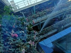 -赛格国际购物中心(小寨店)
