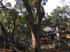 -普陀山风景名胜区-法雨禅寺