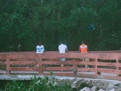 -深圳湾公园(南山区)