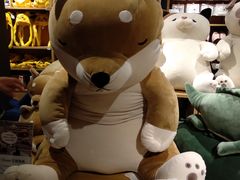 -九木杂物社(恒隆广场店)