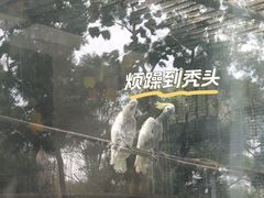 -攀枝花公园