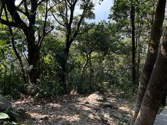 -梧桐山风景名胜区