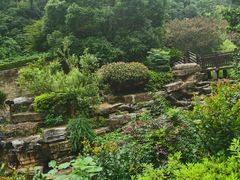 -桃花岭景区