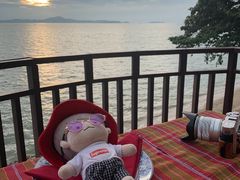 -卷心菜和避孕套餐厅(Pattaya)