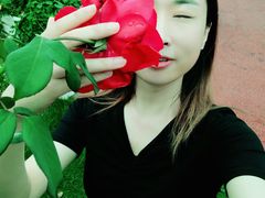 -荷兰花海