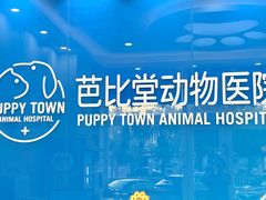-芭比堂动物医院·CT·微创中心(新顺分院)