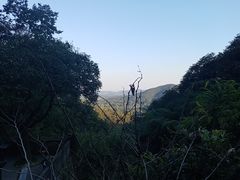 -韬光茶庵
