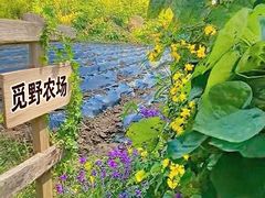 -北陵公园