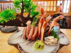刺身三种拼-鲔屋寿喜烧