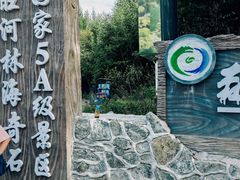 -汤旺河林海奇石景区