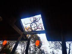-福顺祥大盘鸡(临潼店)