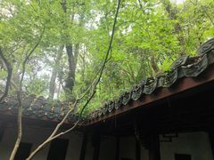 -岳王庙