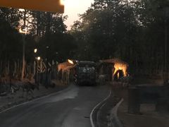 -清迈夜间动物园