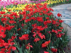 -南通洲际绿博园