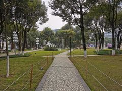 -重庆市江北嘴中央商务区中央公园