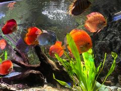 -上海海洋水族馆