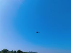 -上海月湖雕塑公园