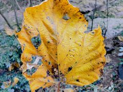 -宁波五龙潭景区