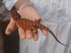 -合肥野生动物园