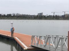 -上海滴水湖皇冠假日酒店