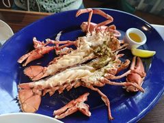 -RED LOBSTER(环球影城大阪店)