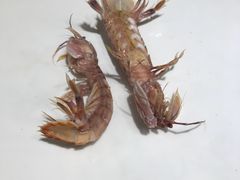 -海味当家(西安路店)