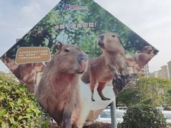 -深圳野生动物园