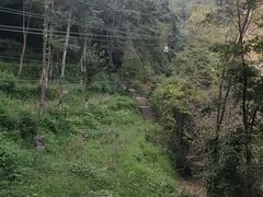 -黄山翡翠谷景区