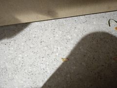 -江渔儿酸菜鱼(常平翔龙天地店)