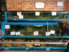 水产区-阿兴生鱼片(大光路店)