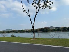 -羊山湖公园