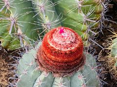 -国家植物园南园