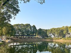 -金银湖国家城市湿地公园