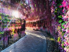 -郑州银基黄帝宫御温泉